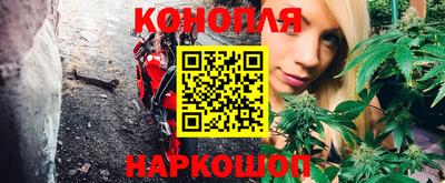 мяу мяу мука Краснознаменск