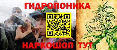 мяу мяу мука Краснознаменск